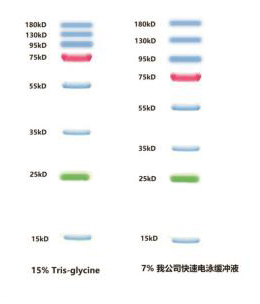 1608345715130916.jpg