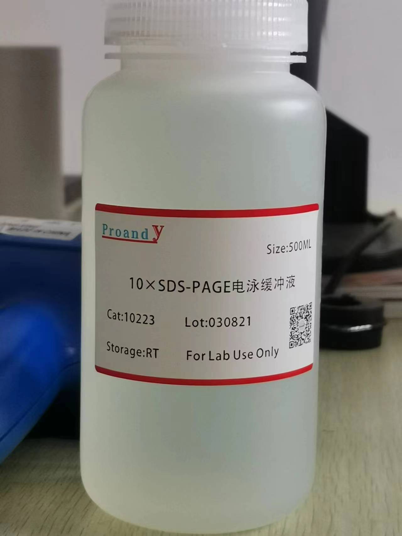 普通電泳.jpg