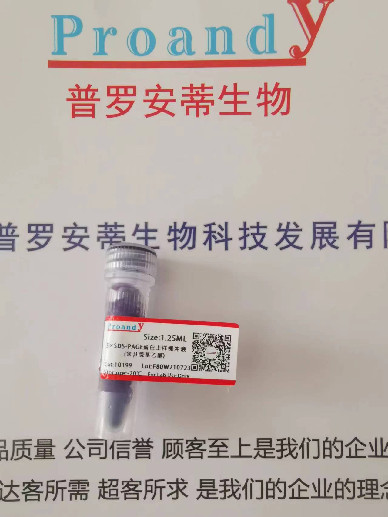 還原變性--巰基乙醇.jpg