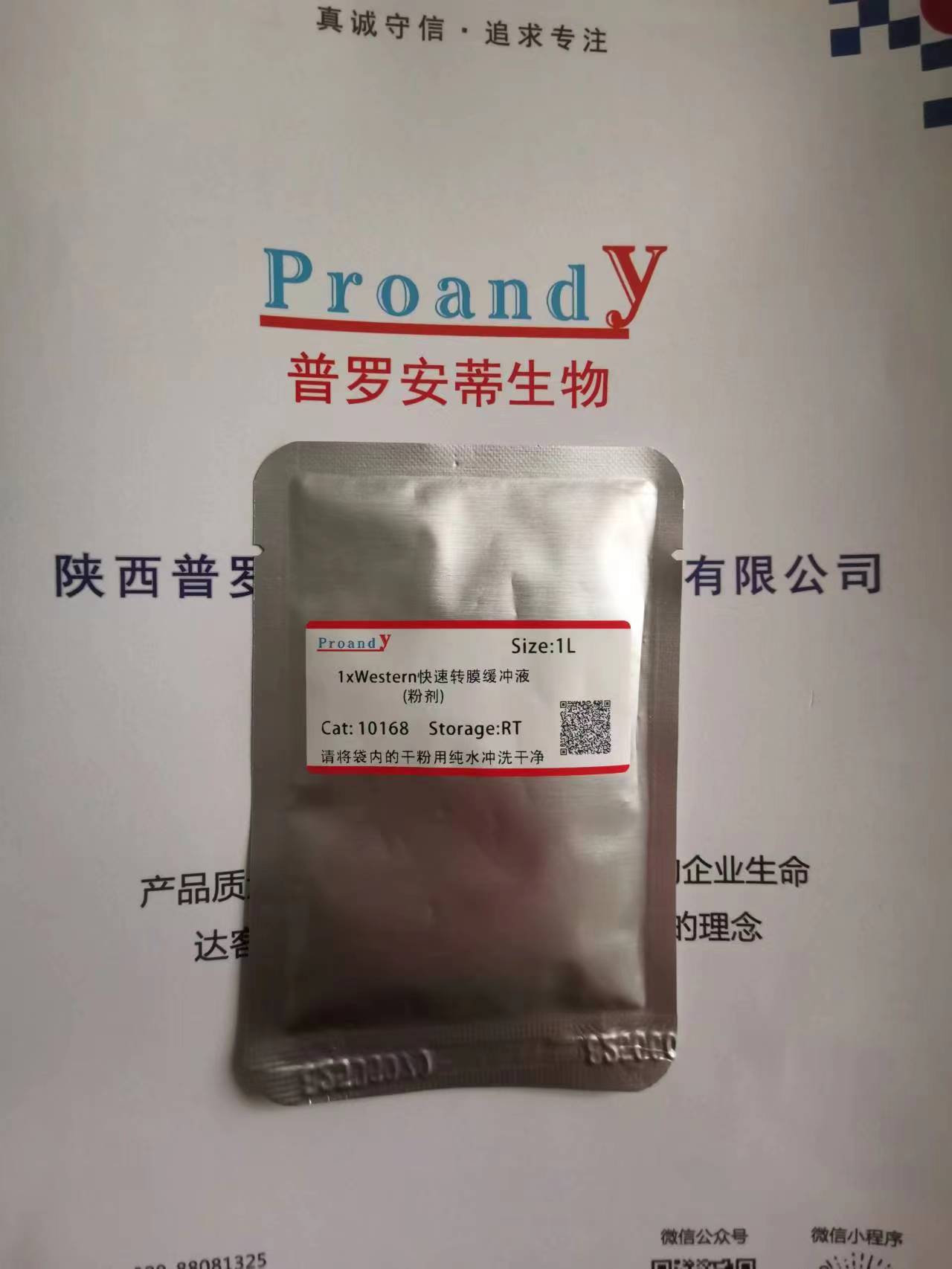 轉(zhuǎn)膜-粉劑.jpg