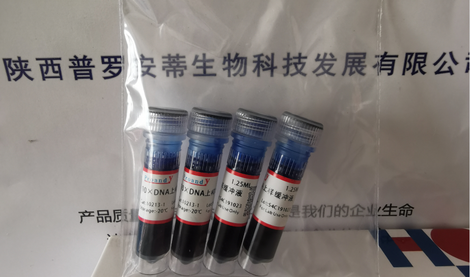 10xDNA上樣液.png
