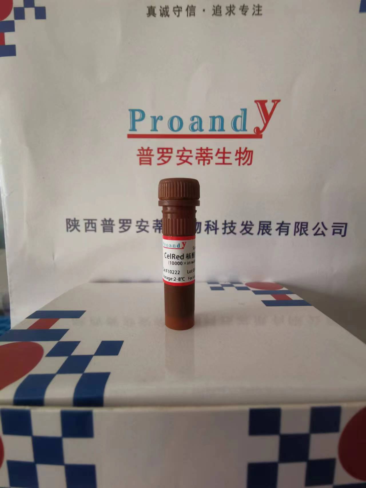 核酸染料（紅色）.jpg