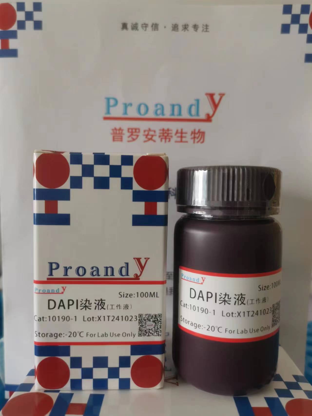 DAPI染液.jpg