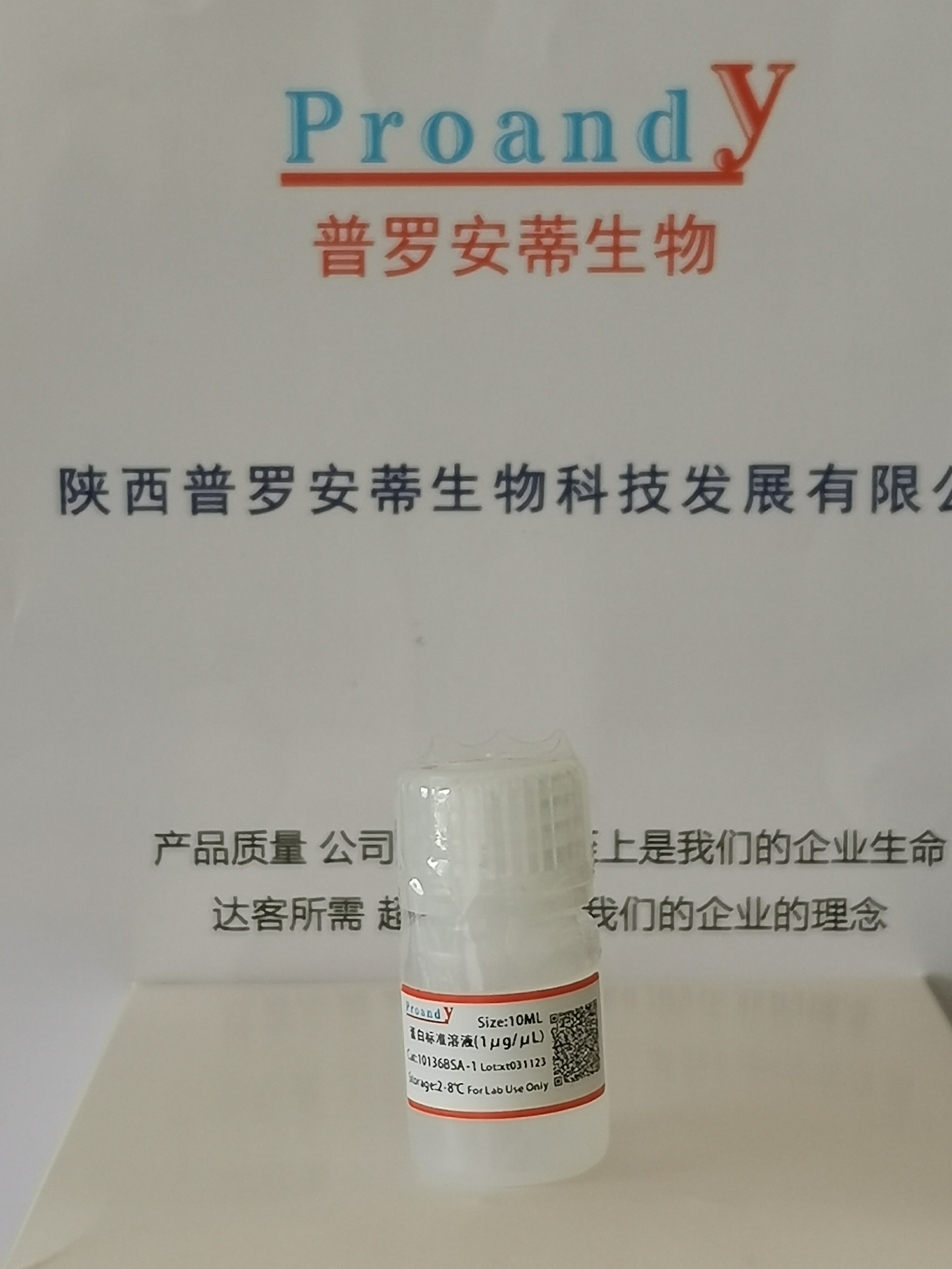 BCA蛋白標準品.jpg