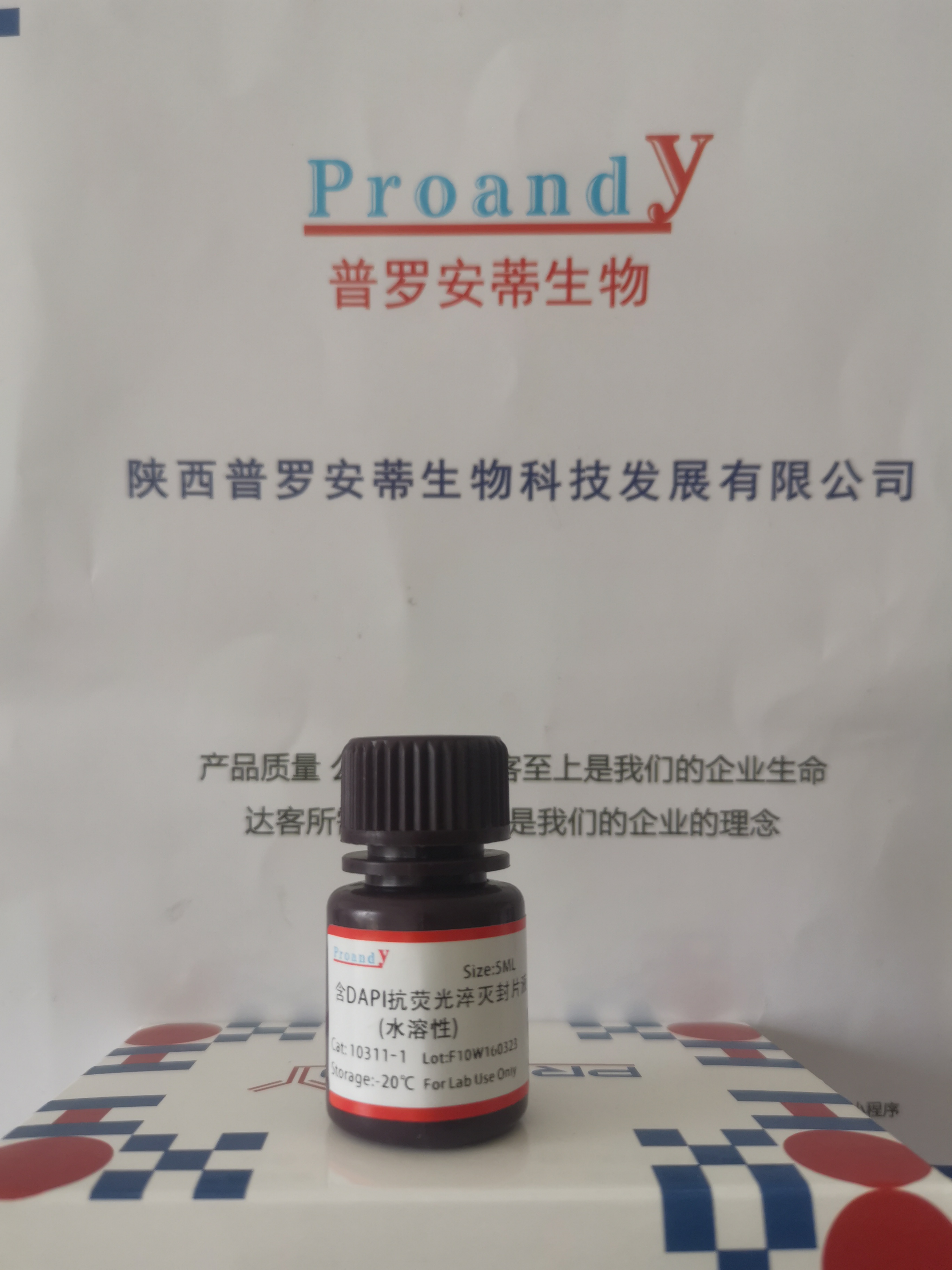 含DAPI抗熒光淬滅封片液.jpg