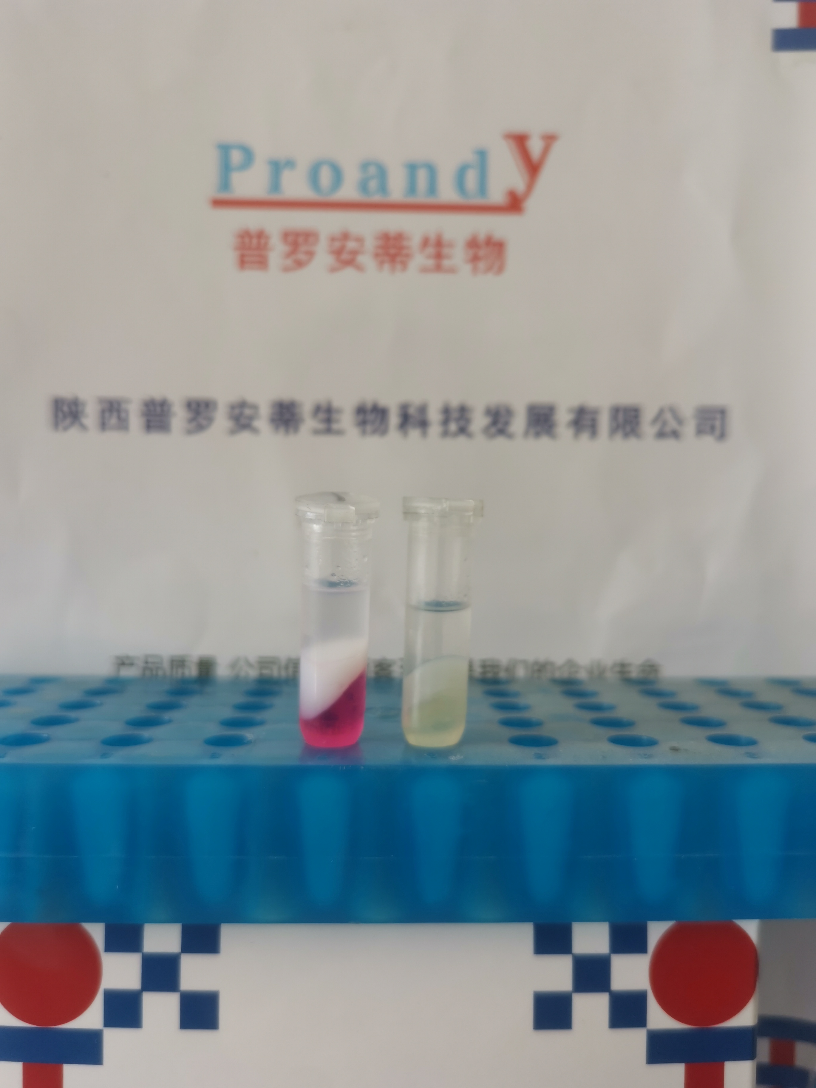 鎖相膠--通用型.jpg